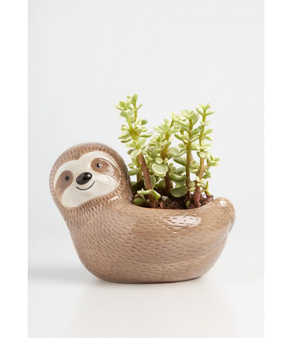 Tree Dweller Ceramic Planter
